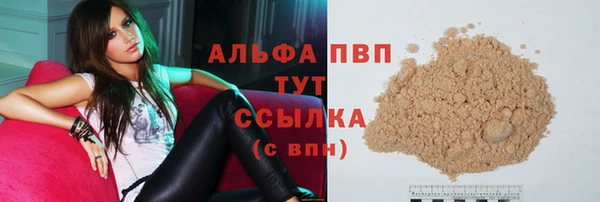 ешки Аркадак