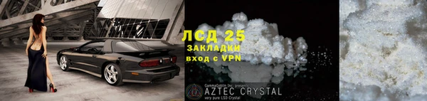 ешки Аркадак