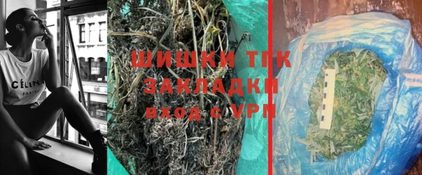 ешки Аркадак