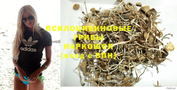Альфа ПВП Армянск