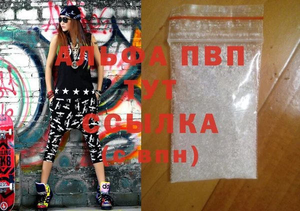 индика Саяногорск