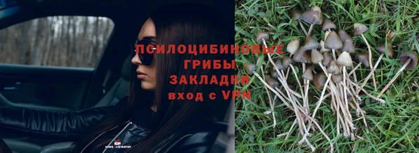 ешки Аркадак