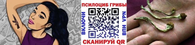Псилоцибиновые грибы Psilocybe  Голицыно 